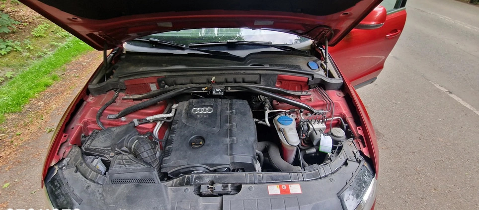 Audi Q5 cena 49999 przebieg: 176200, rok produkcji 2009 z Skoczów małe 254